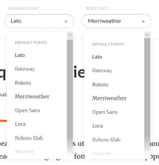 Articulate Rise Localization